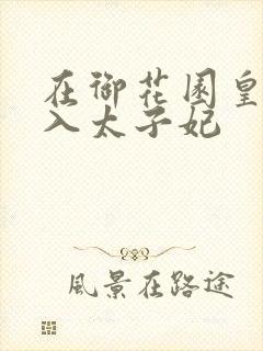 在御花园皇上进入太子妃封面