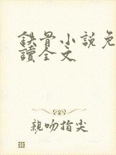 铁骨小说免费阅读全文封面