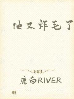 他又炸毛了