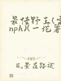 书籍封面