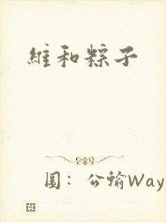 维和粽子