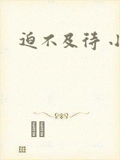 迫不及待 小穴