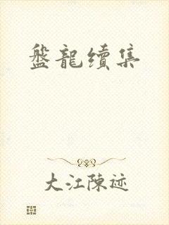 盘龙续集封面