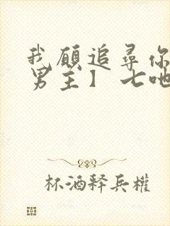 我愿追寻你【双男主】 七吔