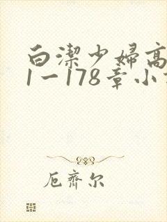 白洁少妇高义第1一178章小说封面