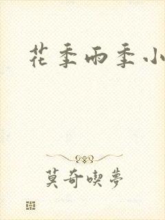 花季雨季小说
