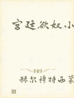宫廷欲奴小说