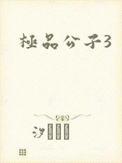 极品公子3封面