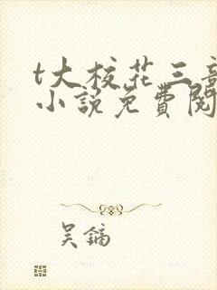 t大校花三部曲小说免费阅读全文