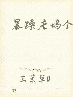 暴躁老妈全集