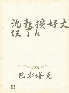 沈教授好大含不住了h