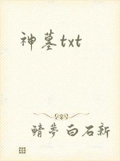 神墓txt