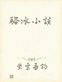 骆冰小说封面