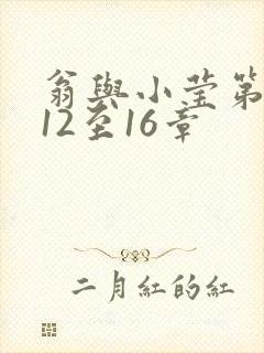 翁与小莹第十部12至16章封面