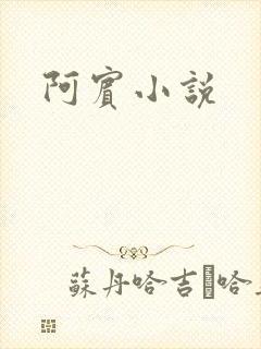 阿宾小说
