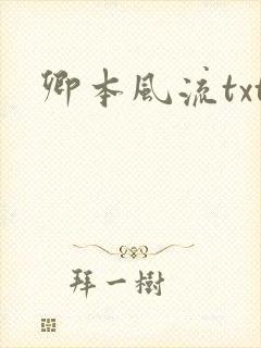 卿本风流txt封面