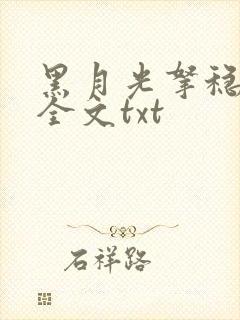 黑月光拿稳小说全文txt