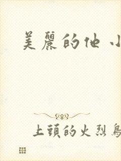 美丽的他 小说封面