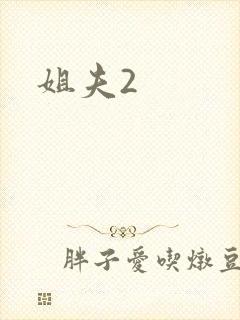 姐夫2
