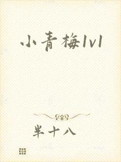 小青梅1v1