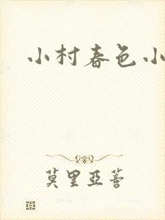 小村春色小说