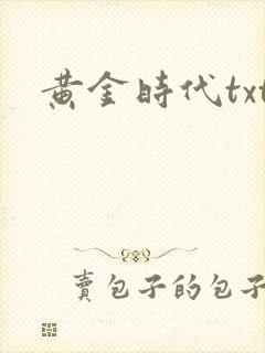 黄金时代txt封面