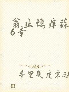 翁止熄痒苏玥第6章