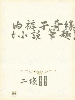 内裤子奇缘txt小说 笔趣阁封面