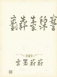 宋先生的宠妻计划轩家沐言
