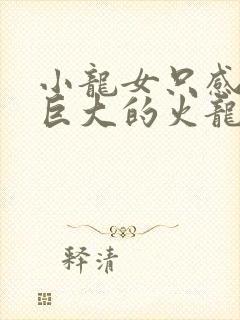 小龙女只感觉那巨大的火龙枪封面