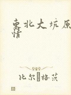东北大坑原始激情封面