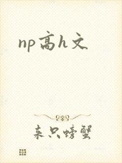 np高h文封面