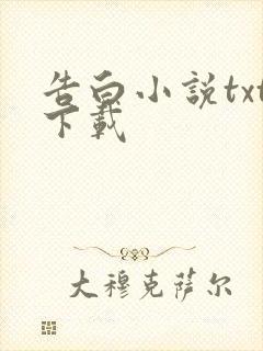 告白小说txt下载