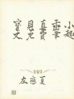 宝贝真乖小说全文免费笔趣阁封面