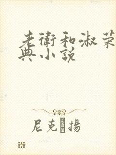 老卫和淑荣的经典小说