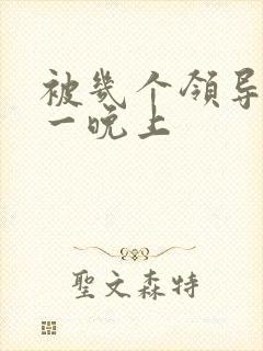 被几个领导玩弄一晚上封面