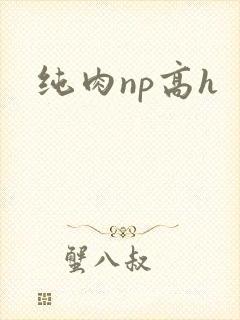 纯肉np高h