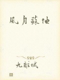 风月苏他封面