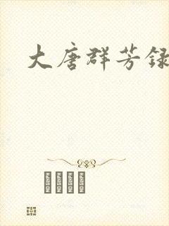 大唐群芳录封面