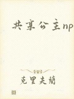 共享公主npc封面