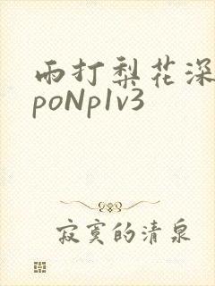 雨打梨花深闭门poNp1v3封面