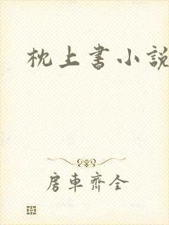 枕上书小说