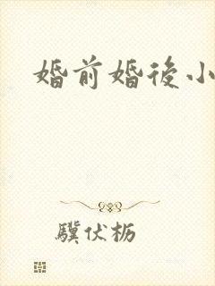 婚前婚后小说