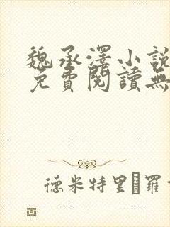 魏承泽小说全文免费阅读无弹窗笔趣