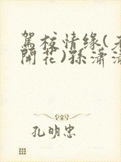 驾校情缘(老树开花)孙潇潇笔趣阁