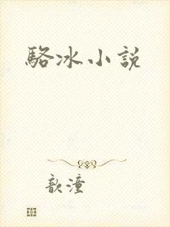 骆冰小说