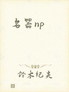 名器np