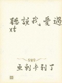 听说我爱过你txt