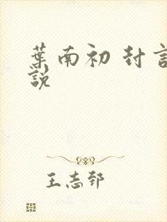 叶南初 封言小说
