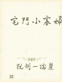 宅门小寡妇